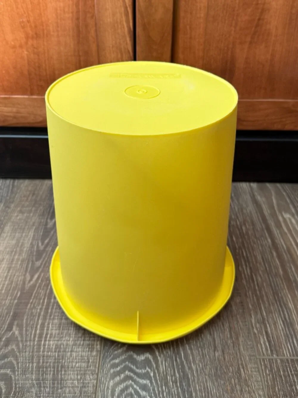 Tupperware Tall Canister